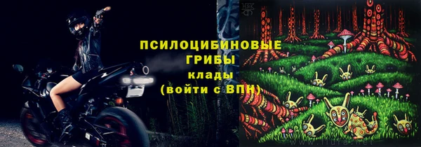 гидропоника Белоозёрский