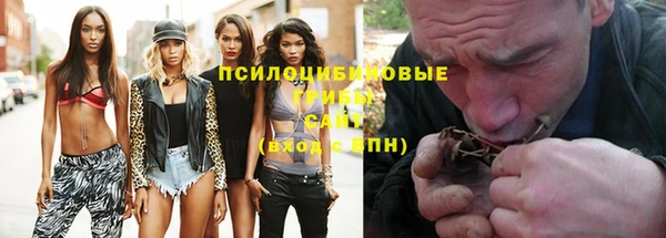 гидропоника Белоозёрский