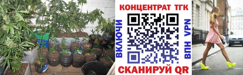 где купить наркоту Нефтеюганск мега вход ТГК Wax